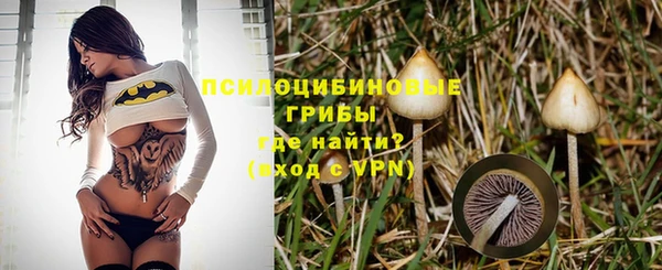 a pvp Аркадак
