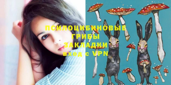 молекула духа Нязепетровск